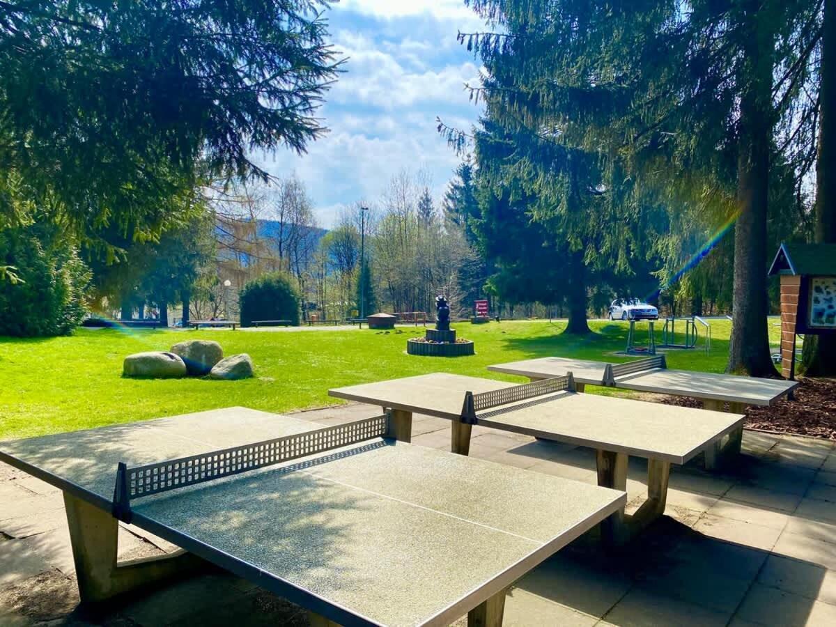 Relaxapartments Abendsonne Im Herzen Des Harzes - Ein El Dorado Fuer Wanderer, Biker Und Ruhesuchende - Mit Sonnigem Balkon Und Platz Fuer Bis Zu 3 Personen Goslar Kültér fotó