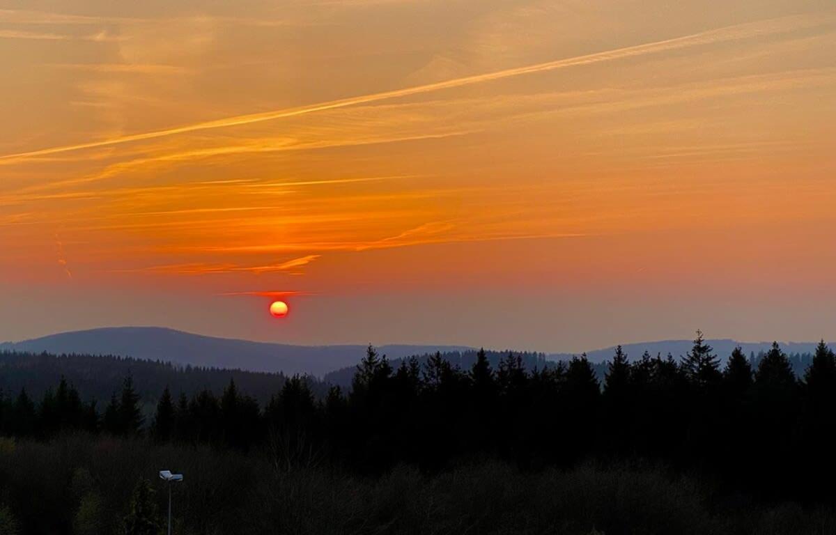 Relaxapartments Abendsonne Im Herzen Des Harzes - Ein El Dorado Fuer Wanderer, Biker Und Ruhesuchende - Mit Sonnigem Balkon Und Platz Fuer Bis Zu 3 Personen Goslar Kültér fotó