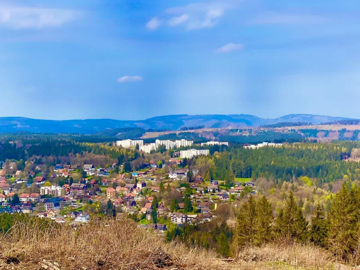 Relaxapartments Abendsonne Im Herzen Des Harzes - Ein El Dorado Fuer Wanderer, Biker Und Ruhesuchende - Mit Sonnigem Balkon Und Platz Fuer Bis Zu 3 Personen Goslar Kültér fotó